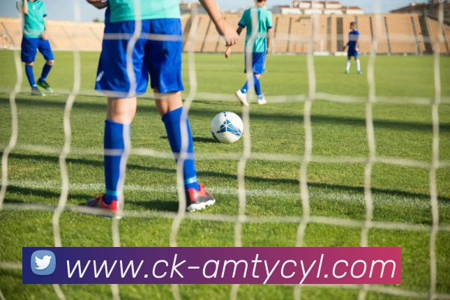 App Interface Preview