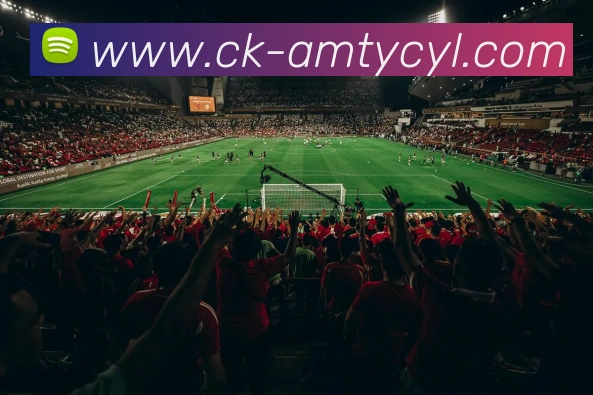 澳门太阳城APP 封面图